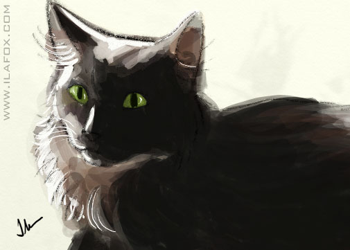 30 Day Drawing Challenge, fav animal, Desafio dos 30 dias de desenho, animal favorito, by ila fox