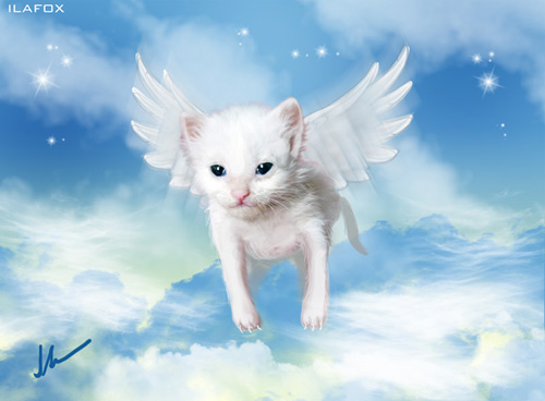 Cuidar de gatinho bebê, gatinho muito pequeno, gatinho que não sabe andar, gatinho doente, Hipoplasia Cerebelar, ilustração by ila fox