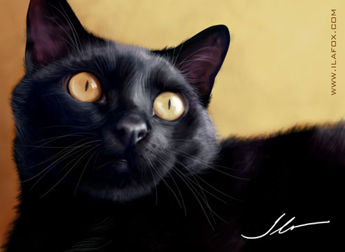 Ilustração animais de estimação, gato preto vinil viniculo ilustração realista chat noir
