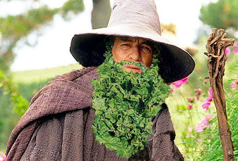 Gandalface